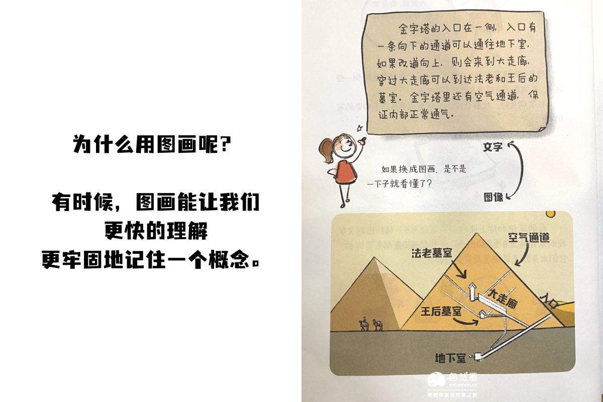 为什么用图画呢？ 有时候，图画能让我们 更快的理解 更牢固地记住一个概念。-2.png