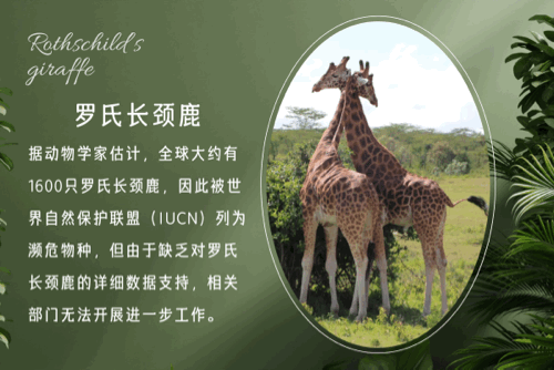 图像 2.GIF