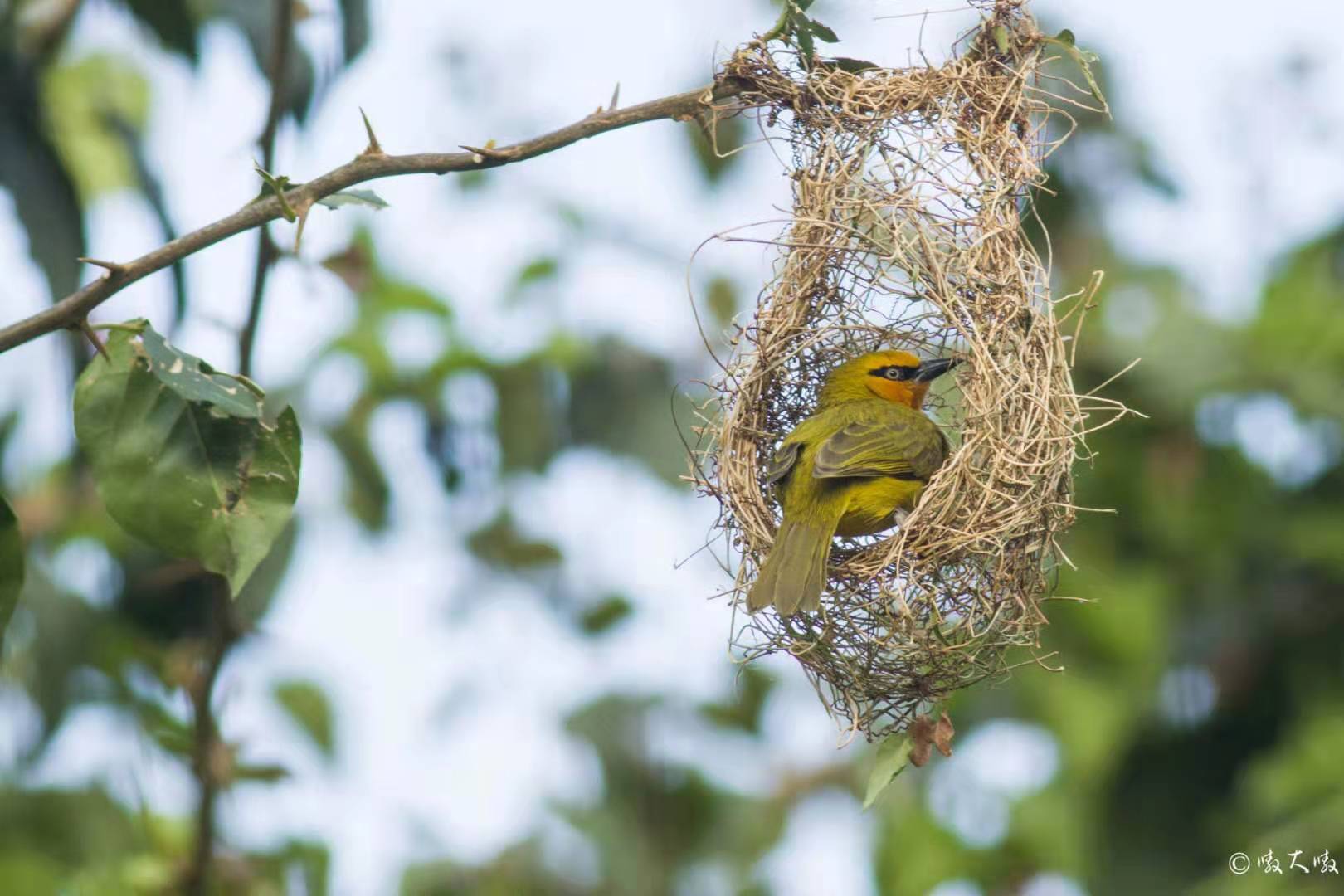 扫描二维码关注自然圈,及时获取活动及订单资讯